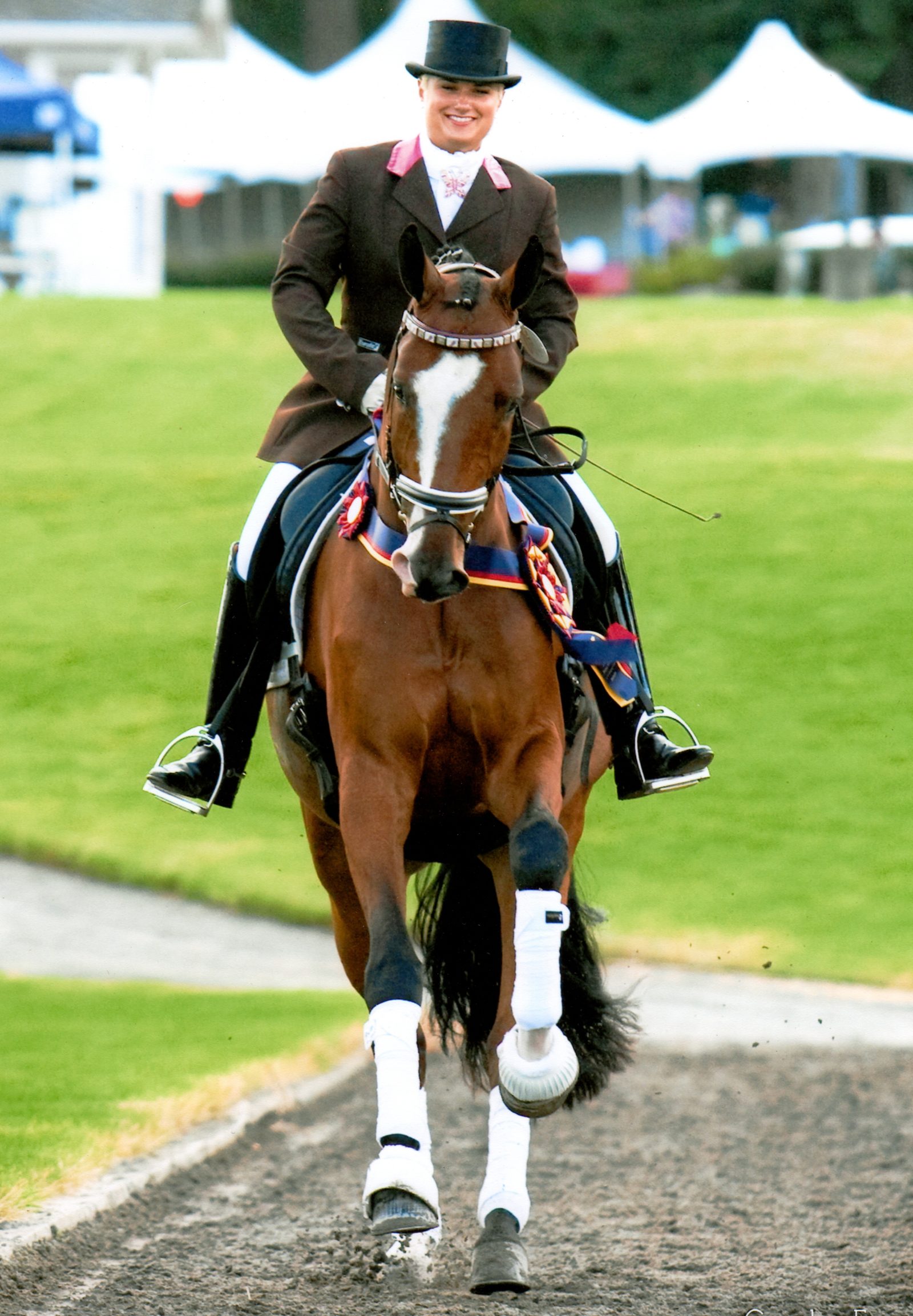 Rider on horse with ribbon